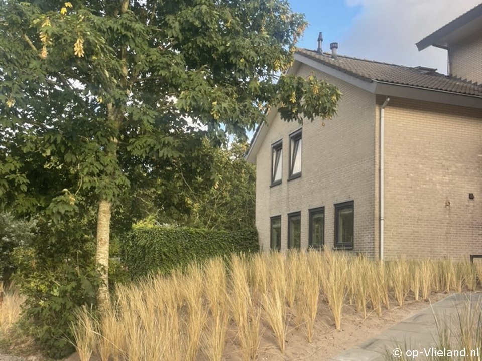 buitenaanzicht Villa Vlie (Eureka 24)